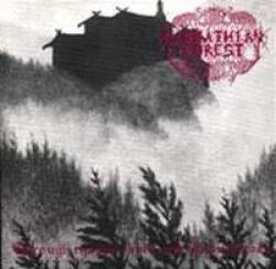 Carpathian Forest