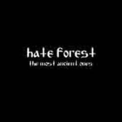 Hate Forest