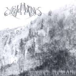 Eternal Winter Domain