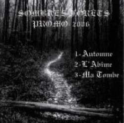 Sombres Forts